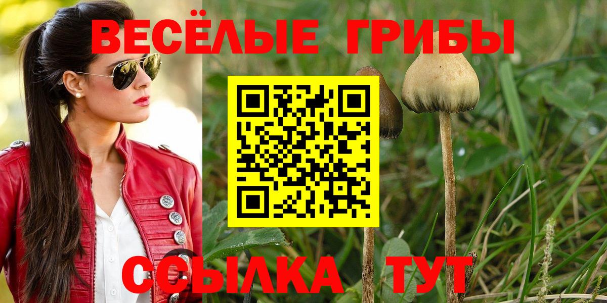 Псилоцибиновые грибы GOLDEN TEACHER  Вход с VPN  Малгобек 